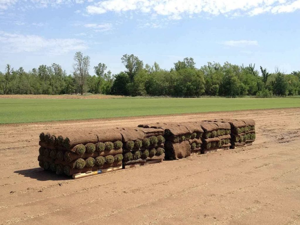 Pallets of fresh sod