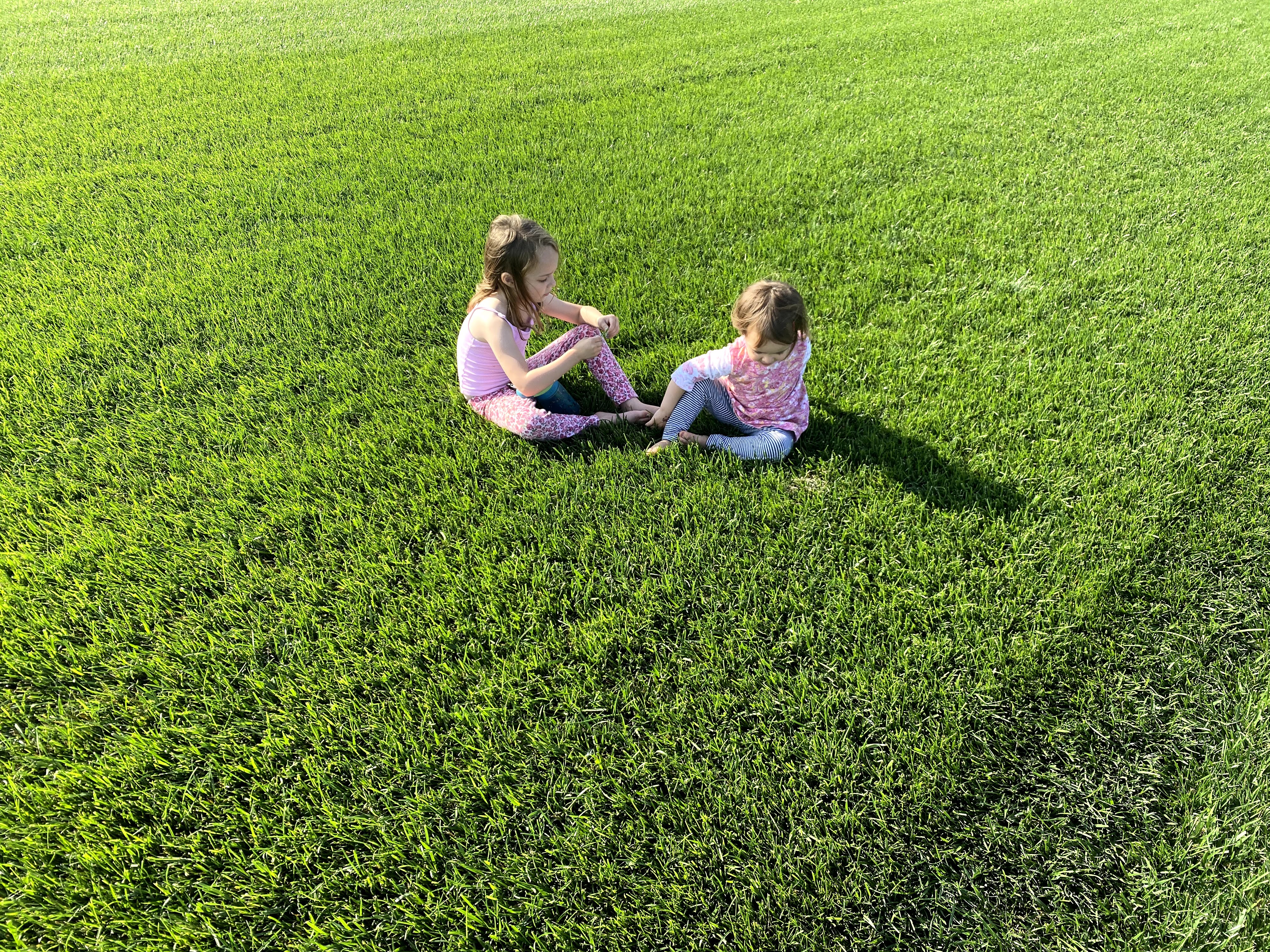 Children sitting in a healthy fescue lawn