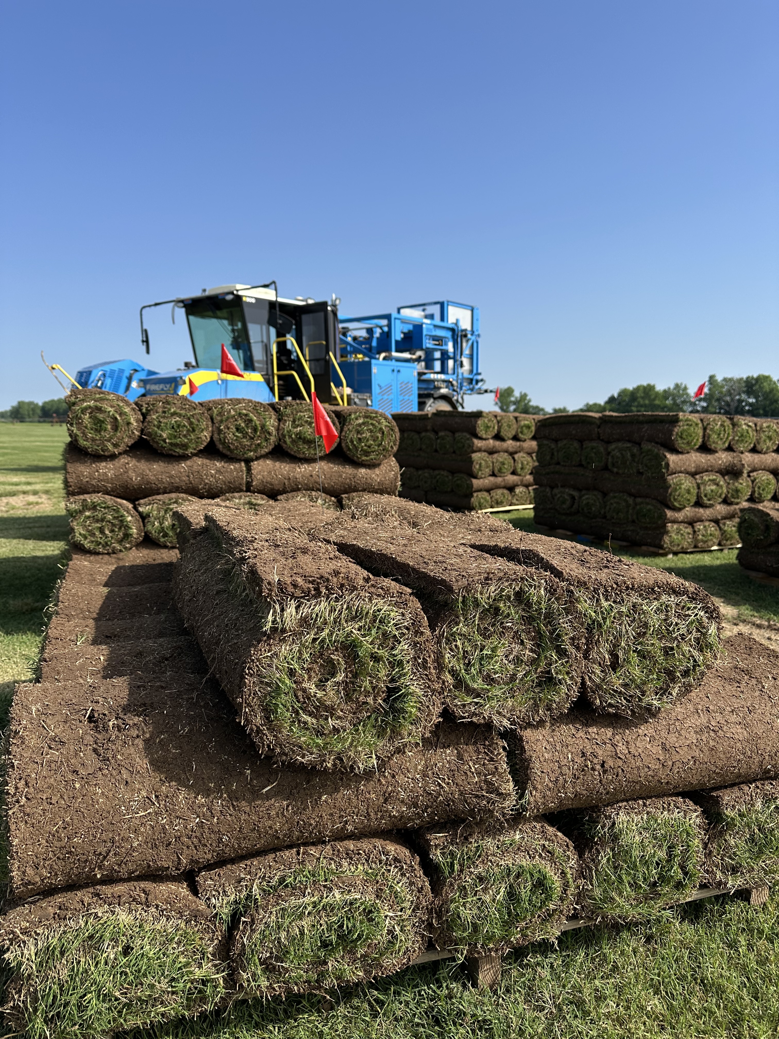 Fresh sod pallets ready for pickup
