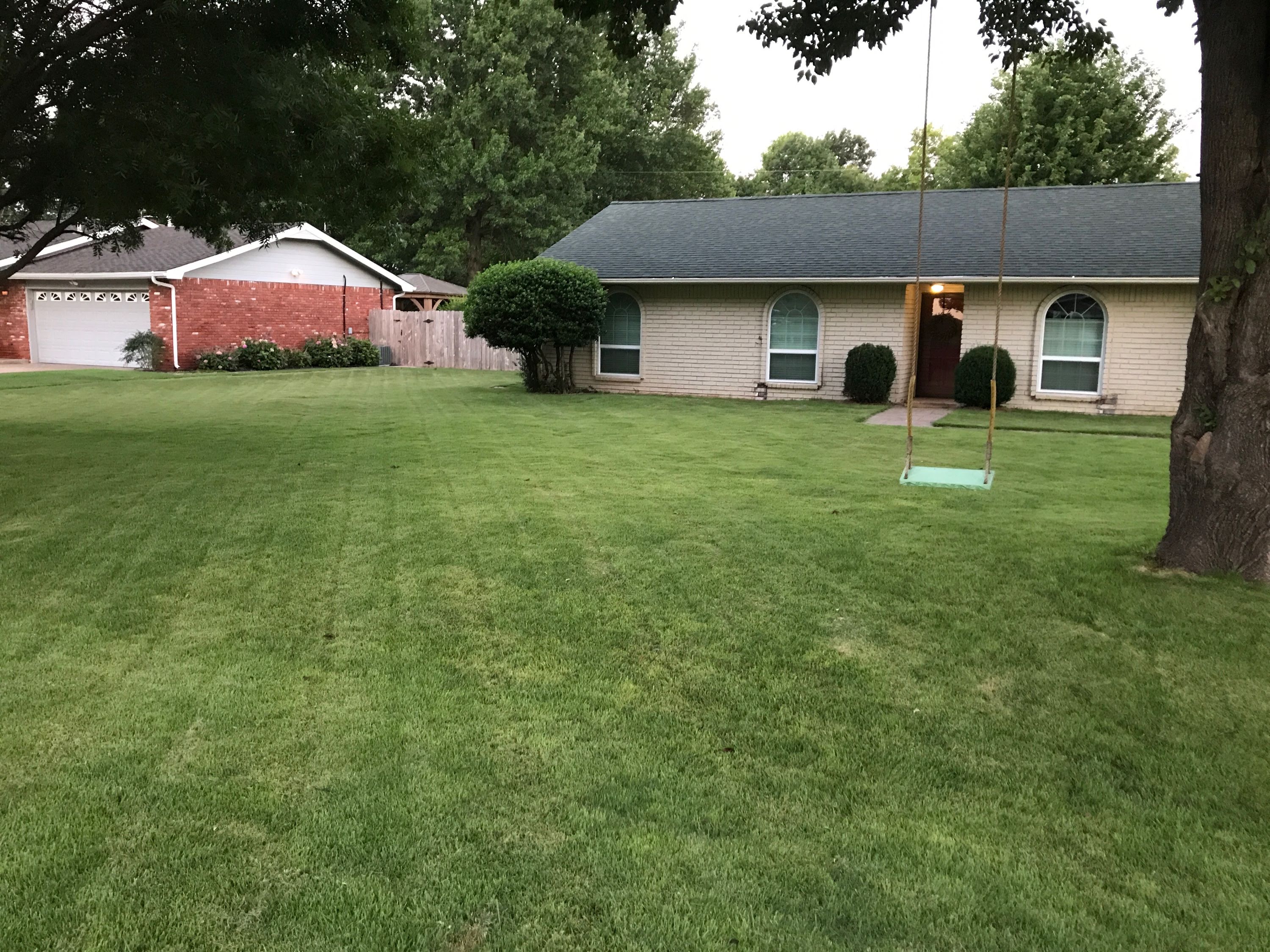Residential lawn with Zoysia sod